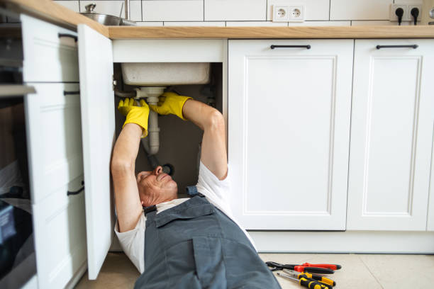 Best Plumbing Inspections & Maintenance in Las Lomas, TX